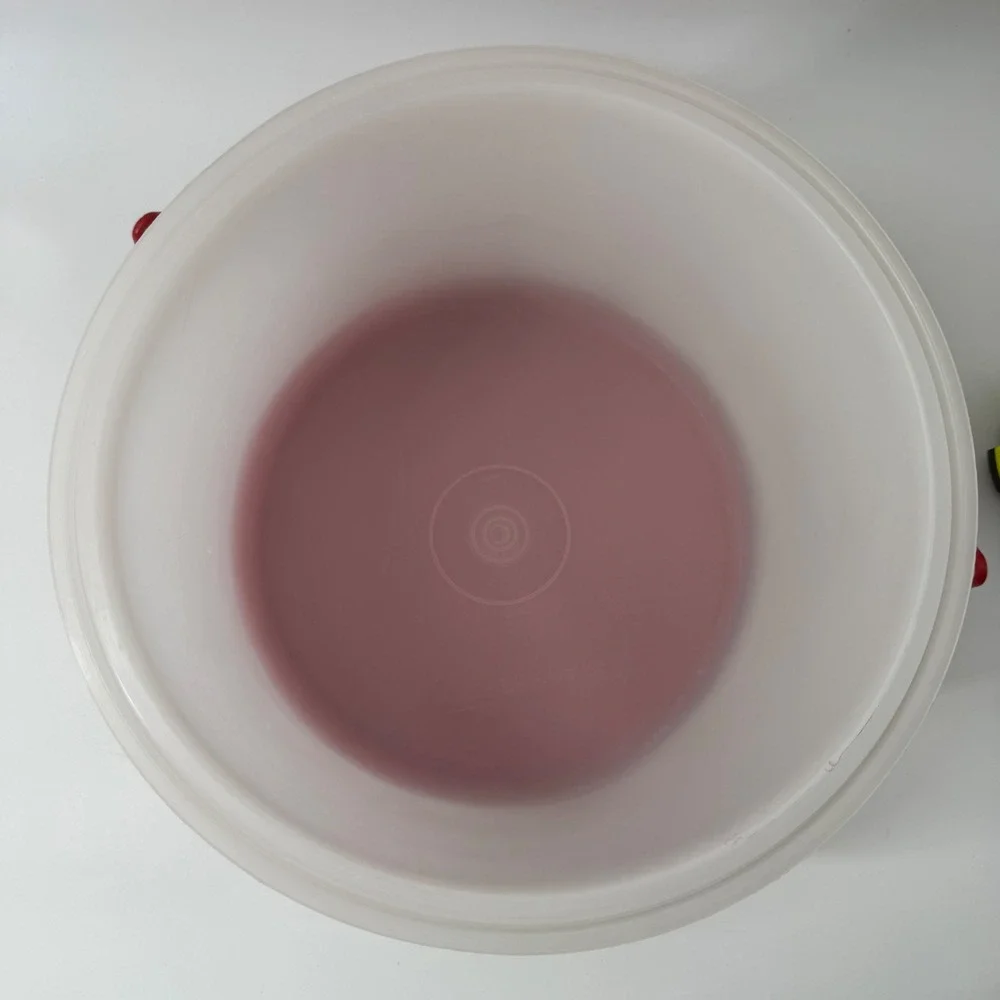 Tupperware Round Cake Taker Carrier 683 Sheer White Red Handle 9.5 Inch